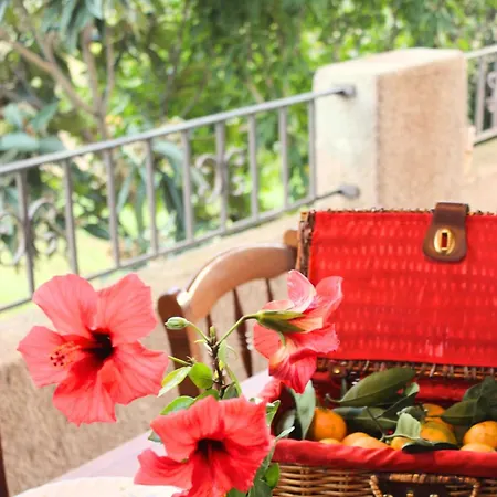 Maison Familiale Grand Jardin Privatif * Sorbo-Ocagnano