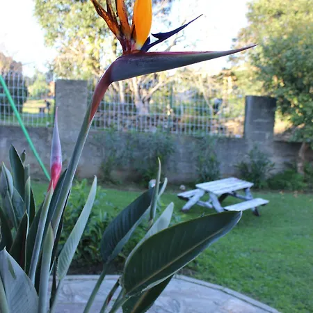 Maison Familiale Grand Jardin Privatif * Sorbo-Ocagnano