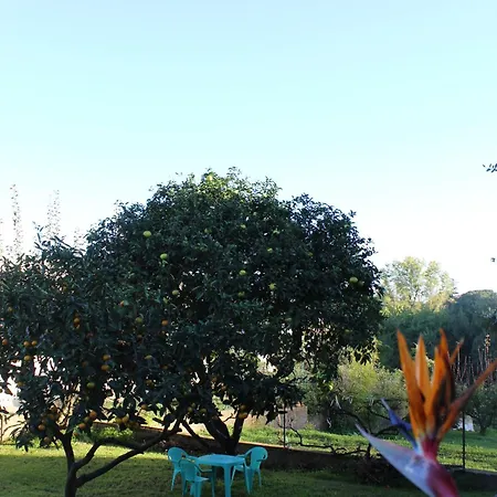 Maison Familiale Grand Jardin Privatif * Sorbo-Ocagnano
