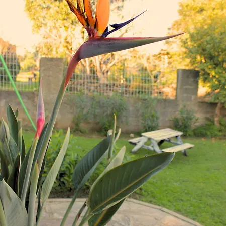 Maison Familiale Grand Jardin Privatif * Sorbo-Ocagnano