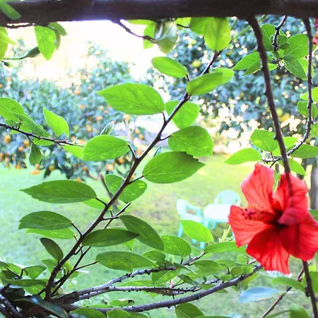 Maison Familiale Grand Jardin Privatif *