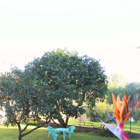 Σπίτι διακοπών Maison Familiale Grand Jardin Privatif